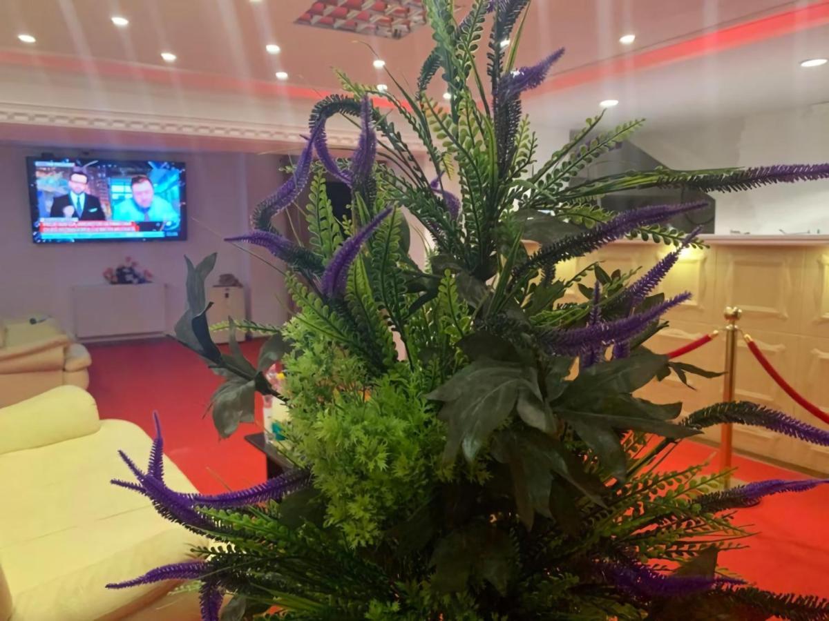 Karra Hotels Voluntari Exteriör bild